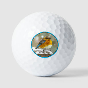 Eastern Bluebird in Snow - Original Foto Golfball