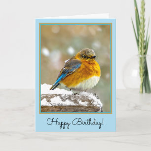 Eastern Bluebird in Snow - Original Foto Karte