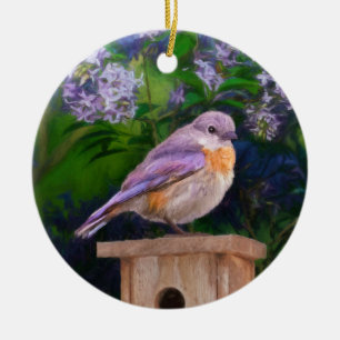 Eastern Bluebird in Snow - Original Foto Keramik Ornament