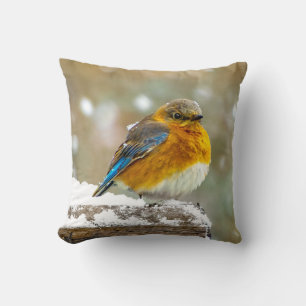 Eastern Bluebird in Snow - Original Foto Kissen