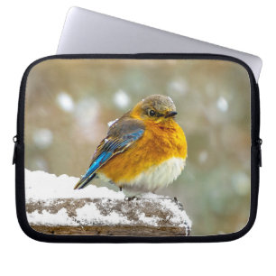 Eastern Bluebird in Snow - Original Foto Laptopschutzhülle