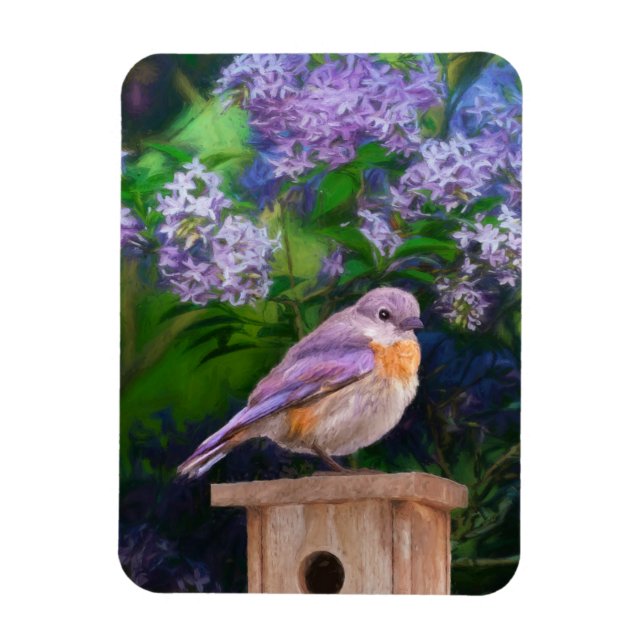 Eastern Bluebird in Snow - Original Foto Magnet (Vertikal)