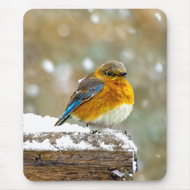 Eastern Bluebird in Snow - Original Foto Mousepad (Vorne)