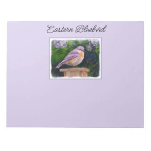 Eastern Bluebird in Snow - Original Foto Notizblock