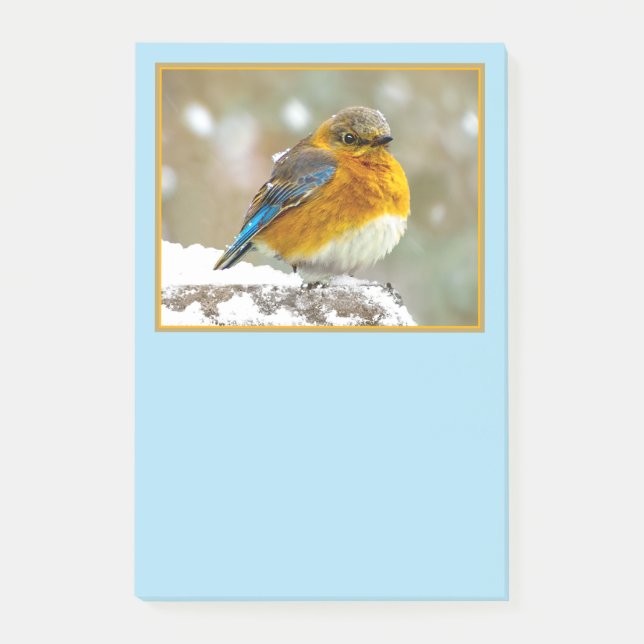 Eastern Bluebird in Snow - Original Foto Post-it Klebezettel (Vorderseite)