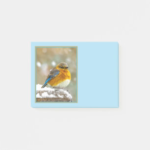 Eastern Bluebird in Snow - Original Foto Post-it Klebezettel