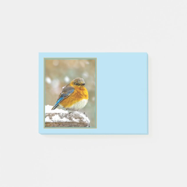 Eastern Bluebird in Snow - Original Foto Post-it Klebezettel (Vorderseite)