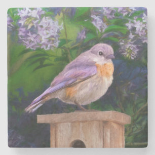 Eastern Bluebird in Snow - Original Foto Steinuntersetzer