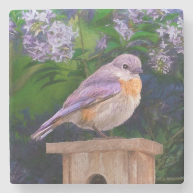 Eastern Bluebird in Snow - Original Foto Steinuntersetzer (Vorderseite)