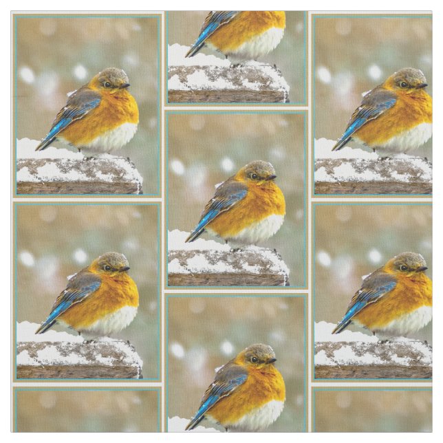 Eastern Bluebird in Snow - Original Foto Stoff (Muster)