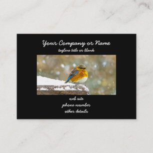 Eastern Bluebird in Snow - Original Foto Visitenkarte