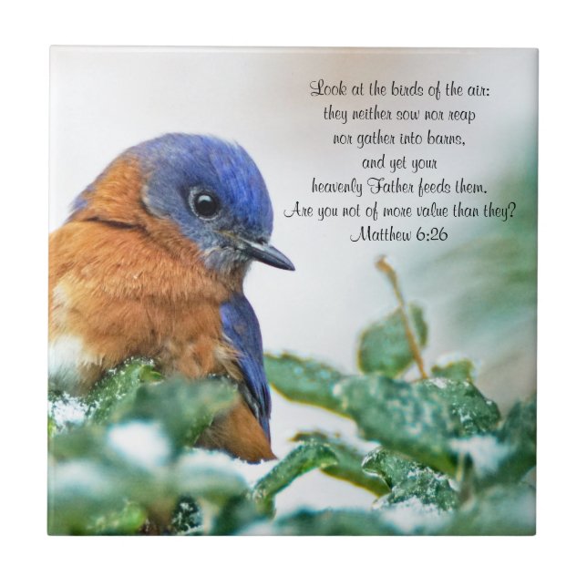 Eastern Bluebird Keramik Foto Tile Matthew 6:26 Fliese (Vorderseite)