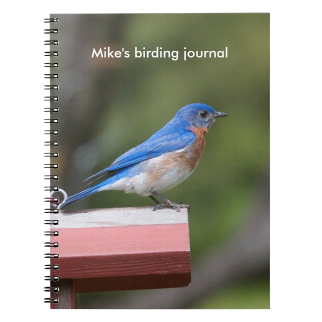 Eastern Bluebird Notizblock (Vorderseite)