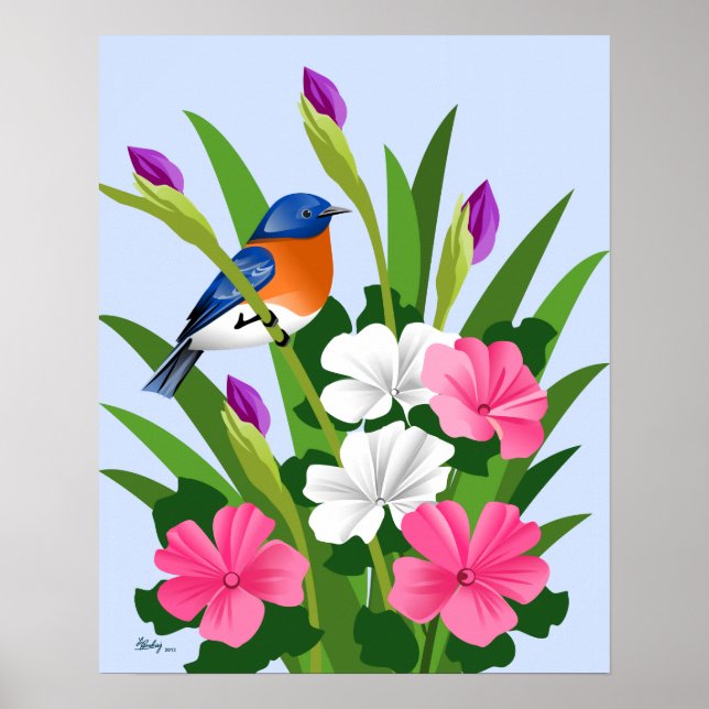 Eastern Bluebird Poster (Vorne)
