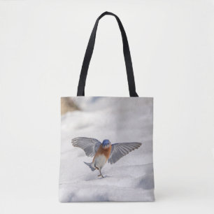 Eastern Bluebird tanzen im Schnee