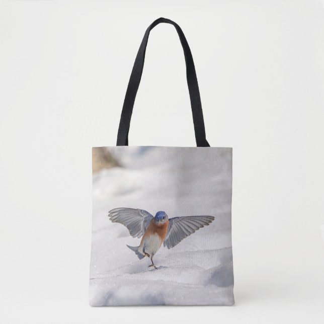 Eastern Bluebird tanzen im Schnee (Vorderseite)