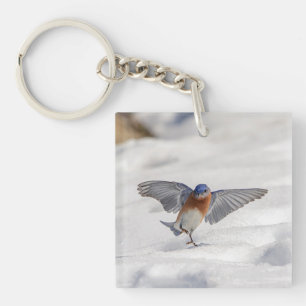 Eastern Bluebird tanzen im Schnee Schlüsselanhänger