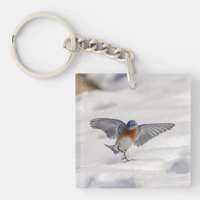 Eastern Bluebird tanzen im Schnee Schlüsselanhänger (Vorderseite)