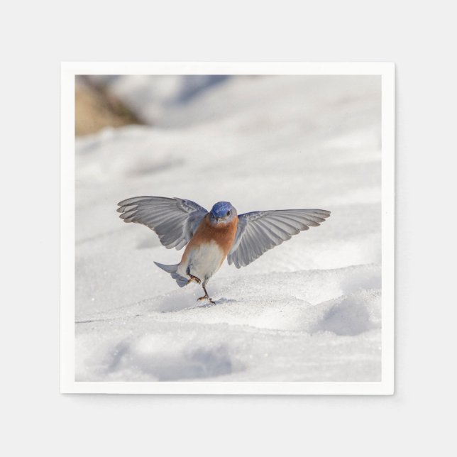 Eastern Bluebird tanzen im Schnee Serviette (Vorderseite)