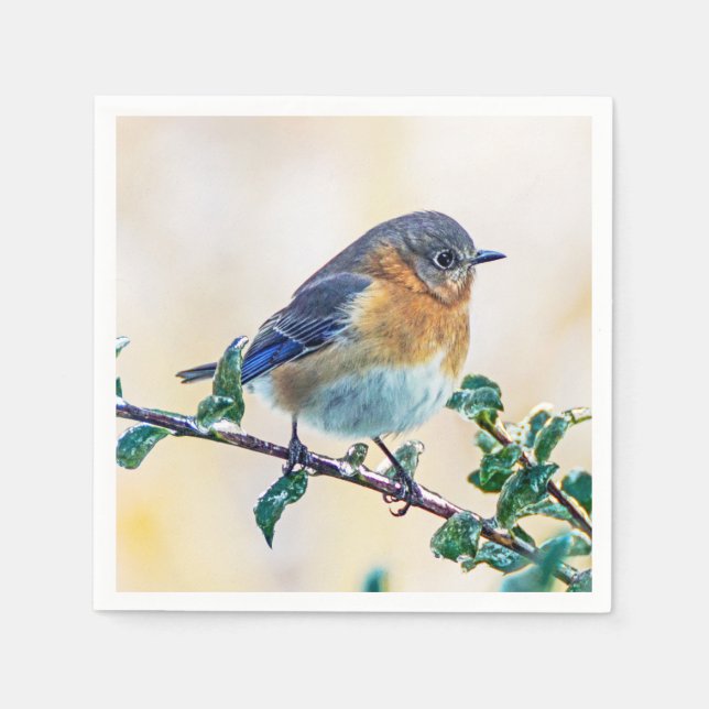 Eastern Bluebird über eisbedecktes Limb Papier Nap Serviette (Vorderseite)