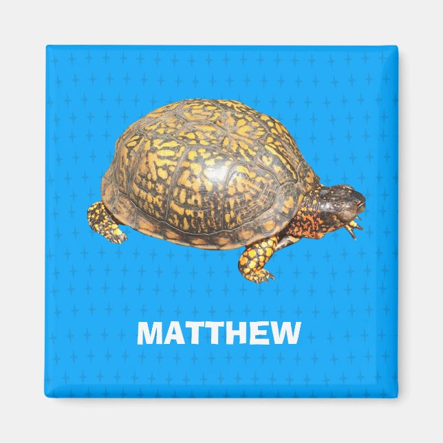 Eastern Box Turtle Foto Personalisiert Magnet (Vorne)