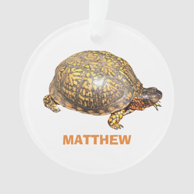 Eastern Box Turtle Foto Personalisiert Ornament (Vorderseite)