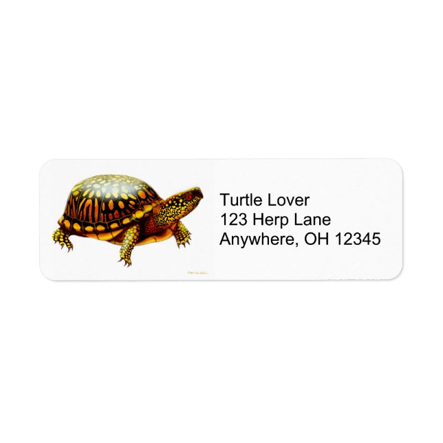 Eastern Box Turtle Label (Vorne)