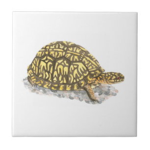 Eastern Box Turtle Tile Fliese