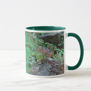 Eastern Chipmunk auf Rock Tasse