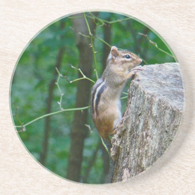 Eastern Chipmunk auf Stump Sandstein Untersetzer (Vorne)