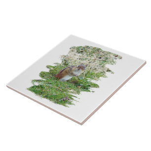 Eastern Chipmunk Fliese