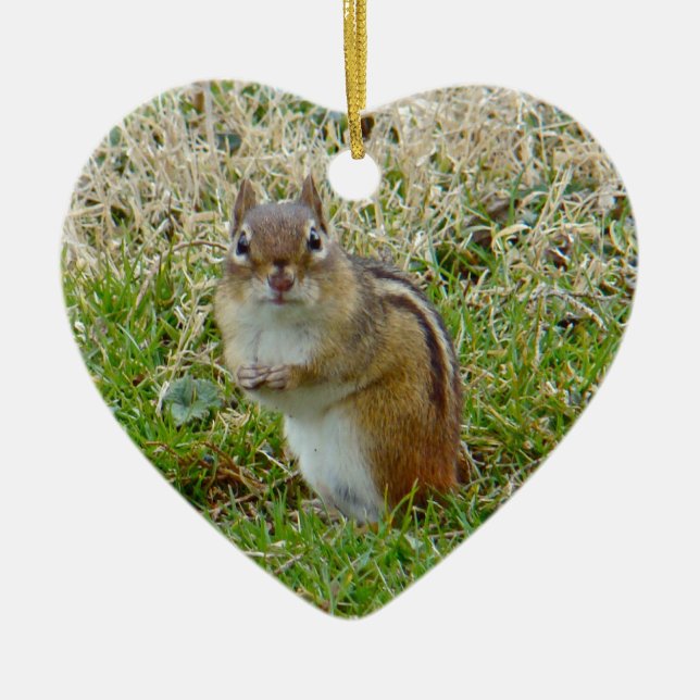 Eastern Chipmunk Keramik Ornament (Vorne)