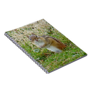 Eastern Chipmunk Notizblock