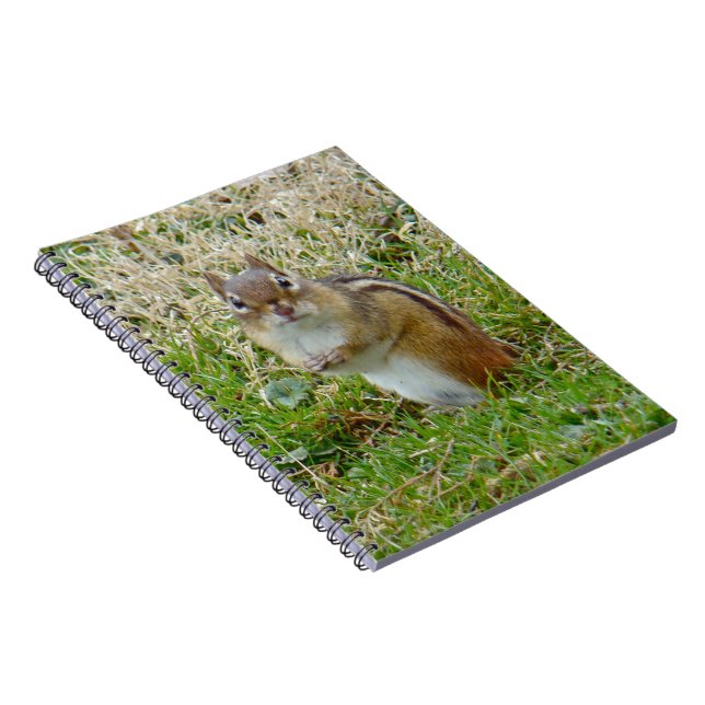 Eastern Chipmunk Notizblock (Rechte Seite)