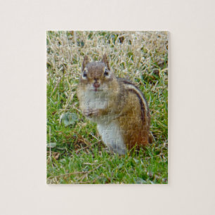 Eastern Chipmunk Puzzle