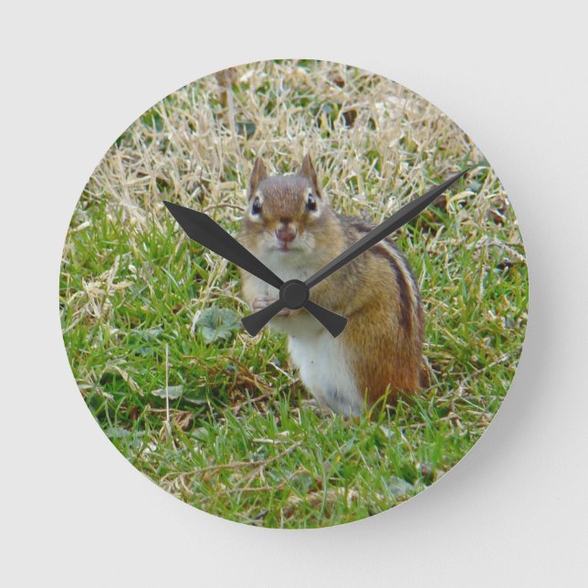 Eastern Chipmunk Runde Wanduhr (Vorderseite)