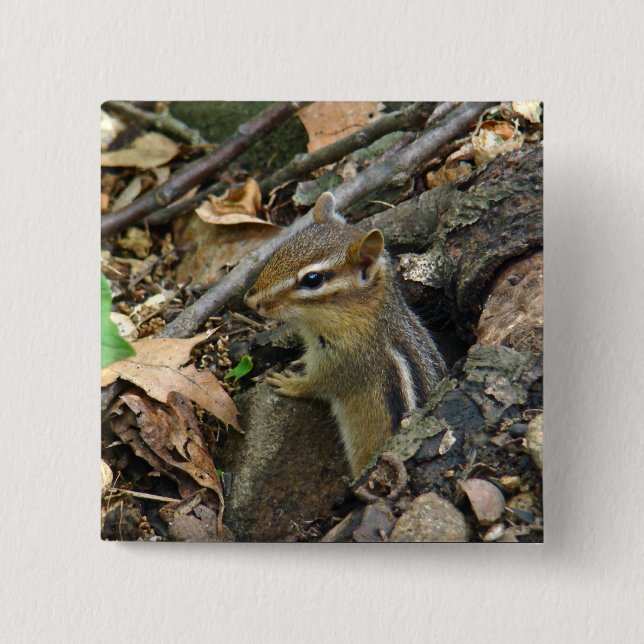 Eastern Chipmunk - Tamias striatus Button (Vorderseite)