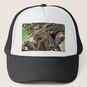 Eastern Chipmunk - Tamias striatus Truckerkappe