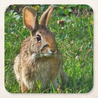 Eastern cottontail rabbit rechteckiger pappuntersetzer