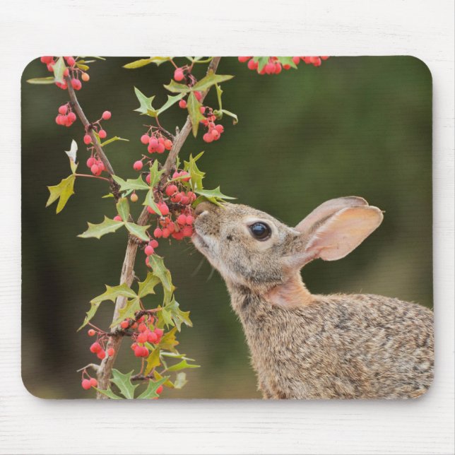 Eastern Cottontail | Südtexas Mousepad (Vorne)