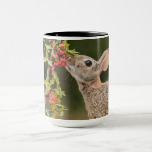 Eastern Cottontail Südtexas Tasse