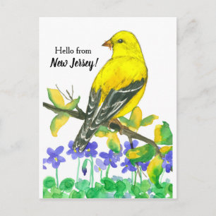 Eastern Goldfinch Bird Hallo aus New Jersey Postkarte