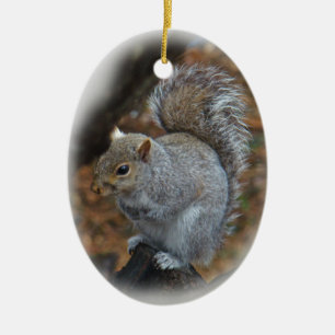 Eastern Gray Eichhörnchen - Sciurus carolinensis Keramik Ornament
