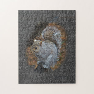 Eastern Gray Eichhörnchen - Sciurus carolinensis Puzzle