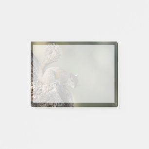 Eastern Gray Squirrel, or grey squirrel Post-it Klebezettel