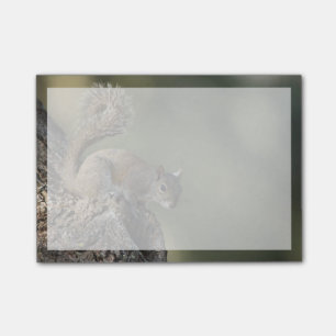 Eastern Gray Squirrel, or grey squirrel Post-it Klebezettel