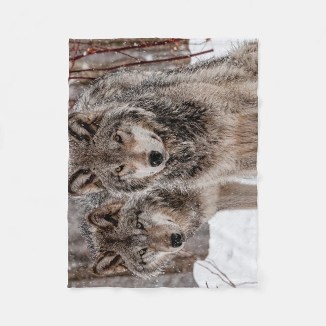 Eastern Gray Wolf  Fleecedecke (Vorderseite)