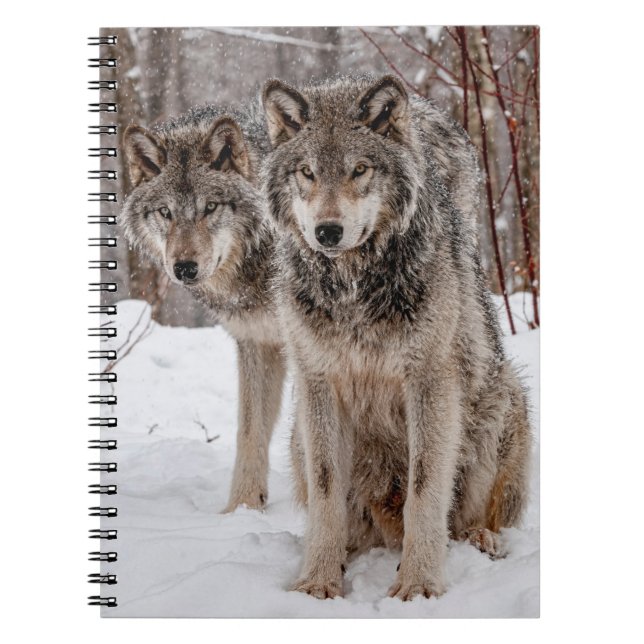 Eastern Gray Wolf Notizblock (Vorderseite)