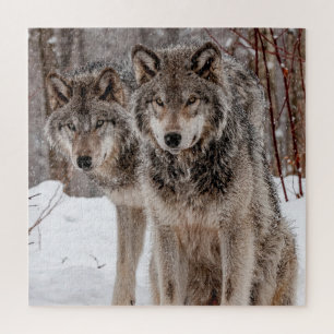 Eastern Gray Wolf Puzzle