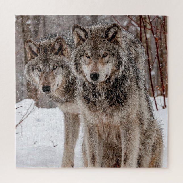Eastern Gray Wolf Puzzle (Vertikal)